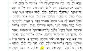 Torah Reading  Genesis Chapter 21HD [upl. by Adnovay]