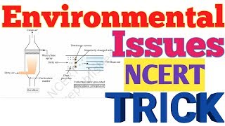 Environmentalissues Environmental Issues TrickClass 12NCERTchapter 16ecology for NEETTGTPGT [upl. by Naerb]