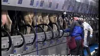 DeLaval EnDurance™ Parallel Parlour  Green Meadow Farms Michigan USA  DeLaval [upl. by Nahem]