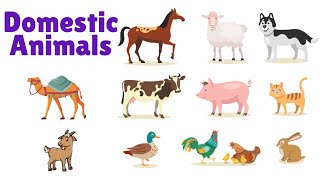 Domestic Animals  Learn Domestic Animals Names  Domestic Animals for Kids and Children [upl. by Virginie]