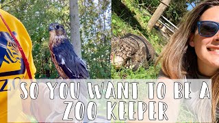 How to Become a Zoo Keeper  Requirements College Internships [upl. by Elleiand348]