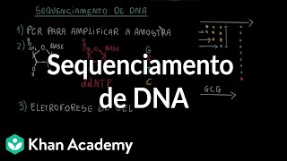 Sequenciamento de DNA [upl. by Quarta482]