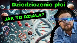 Dziedziczenie płci⚡ Dziedziczenie Daltonizmu i Hemofilii🤓 Dziedziczenie grup krwi🔥 genetyka klasa 8 [upl. by Ahsa]