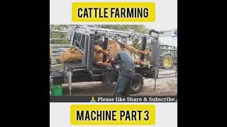 cattlefarming part 3।shortsytstudio [upl. by Eisler907]