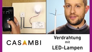 Casambi Lichtsteuerung  Verdrahtung mit LEDLampen Tutorial [upl. by Farnham]