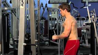 Triceps Pushdown VBar Attachment [upl. by Asirehc]