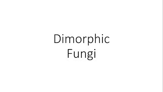 Dimorphic Fungi  Microbiology [upl. by Colleen]