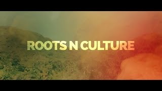 Fantan Mojah  Roots N Culture Official HD Video  VIS RecordsMore Life Prod [upl. by Aehta]