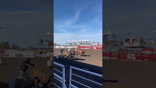 Teepee Creek Alberta stampede rodeo 2024 [upl. by Anitnatsnok195]