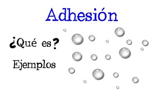 💧 ¿Qué es la Adhesión 💦 Ejemplos 💥 Fácil y Rápido  FÍSICA   QUÍMICA [upl. by Leahcimluap670]