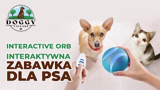 Interaktywna zabawka dla psów INTERACTIVE ORB MT7108  🐾 DoggyVillagepl [upl. by Pazice]