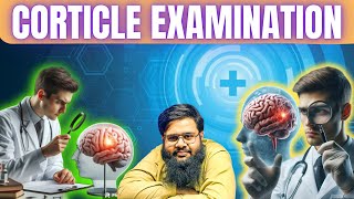 Cortical examination cns part4 [upl. by Nirrep]