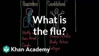 What is the flu  Infectious diseases  Health amp Medicine  Khan Academy [upl. by Greenberg78]