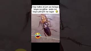 wala na talaga kayo pinipili lugar 🤣😂 akosizenkieTV shortvideo funny clips goodvibes [upl. by Socher635]