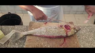 Spotted Grunter Fish Easy Way to Slice। Fast amp Easy Way to Cutting Spotted Grunter Fish at Fish Area [upl. by Ttenrag]