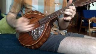 Medalist Resonator Mandolin [upl. by Aihsatan]