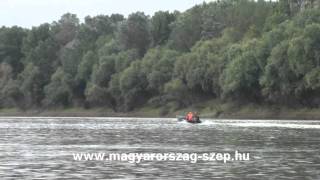 Tiszavirágzás kérész repülés Nagykörű 2011 HD [upl. by Nnywg723]