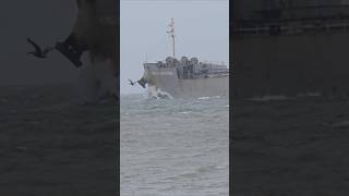 😲 IN THE SURF🌊🤘♥️ship sealife beautiful wow epic waves containership oiltanker bulkcarrier [upl. by Ailaza]