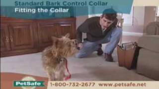 PetSafe Standard Bark Control Collar Tips [upl. by Aydin]