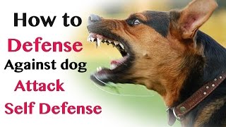 How to Defend against Dog Attack  Self Defence [upl. by Aimee338]