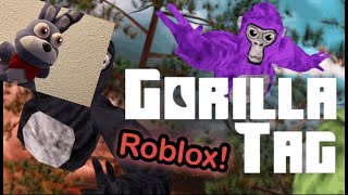 IMA MONKEY Roblox Gorilla Tag [upl. by Haidebej966]