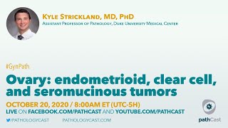 Ovary endometrioid clear cell and seromucinous tumors  Dr Strickland Duke GYNPATH [upl. by Lytsirk873]