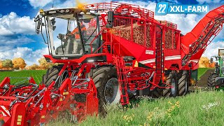 LS22 XXL Farm 32 Große Rübenernte Einsatz für den GRIMME REXOR  FARMING SIMULATOR 22 [upl. by Akemak]