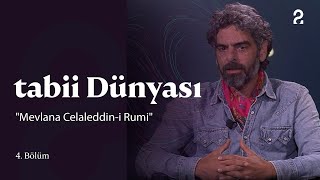 tabii Dünyası  quotMevlana Celaleddini Rumiquot  4 Bölüm trt [upl. by Grunberg]