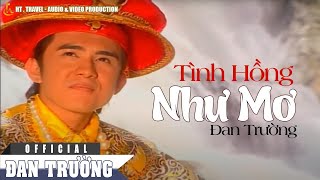 TÌNH HỒNG NHƯ MƠ  ĐAN TRƯỜNG OFFICIAL [upl. by Nolad679]