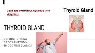 THYROID GLAND ANATOMY COMPLETE WITH DIAGRAMS ENDOCRINE MODULE [upl. by Hemingway]