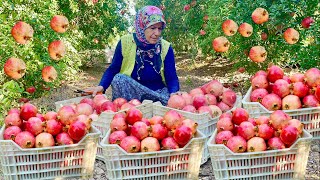 LEZZETLİ YEMEKLER İÇİN NAR HASADI Ve NAR EKŞİSİ HAZIRLIĞI  ANNEM LEZZET KÖYÜ [upl. by Fransisco]