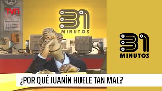 ¿Por qué Juanín huele tan mal  31 Minutos [upl. by Karlotta]