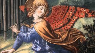 J S Bach  Cantata “Geist und Seele wird verwirret” BWV 35  Leusink [upl. by Llert]