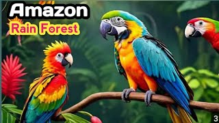 Amazon rainforest  most dangerous animals  strange facts  River  facts [upl. by Lydell]