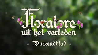 Floralore uit het verleden  Duizendblad [upl. by Mackoff]