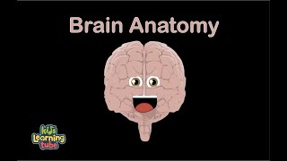 Human Body Brain SongHuman Body Systems  KLT Anatomy [upl. by Madelena783]