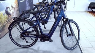 EBike BESV TR 15 Trekking Tiefeinsteiger Shimano E6100 Review [upl. by Damalas617]