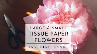 How to Make Tissue Paper Flowers  Two Sizes  Easy DIY [upl. by Edwina]