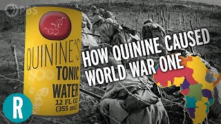 How Quinine Fights Malaria and How That Caused World War One [upl. by Riggins]