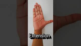 Abduction Adduction Flexion Extension of thumb [upl. by Nnyleuqcaj]