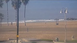 Venice Beach Webcam  Venice Beach Live Cam  venice beach live boardwalk cam [upl. by Einnalem]