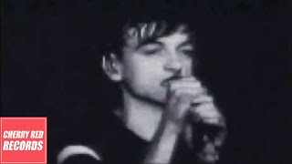 The Fall  Totally Wired Live in New York June 1981 [upl. by Llenrahc]