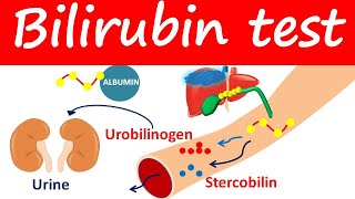 Bilirubin test  Direct Indirect amp Total bilirubin levels [upl. by Schwinn360]