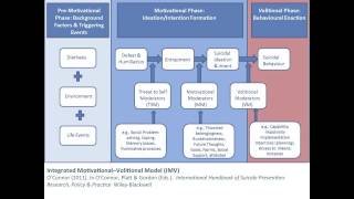 IMV model of suicidal behaviour [upl. by Yreva962]