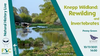 Knepp Wildland Rewilding and Invertebrates  Penny Green [upl. by Htrow]