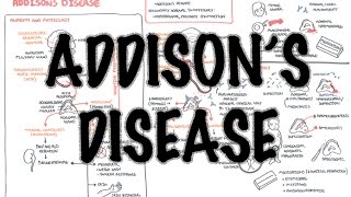 Addisons Disease  Overview clinical features pathophysiology investigations treatment [upl. by Burlie]