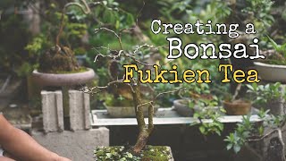 EP 9  Fukien Tea Bonsai  Carmona Retusa [upl. by Eenar]