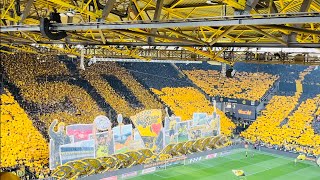 Spektakuläre Choreografie 50 Jahre Westfalenstadion bvb ultras bundesliga [upl. by Schnapp]