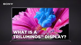 What is a TRILUMINOS™ Display [upl. by Ancilin]