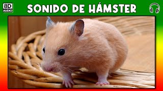 SONIDO DE HAMSTER 🐹 [upl. by Quickman]